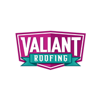 Gallery Image Valiant_Shield-1300.png