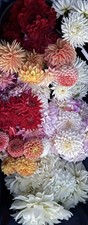 GORGE.ous Flowers GORGE.ous Flowers