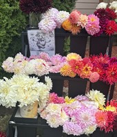 Bouquet Bar