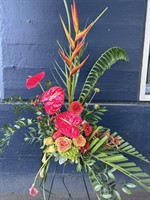 Tropical Spray