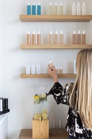 Gallery Image Sol_and_Palm-01.jpg