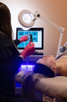 Gallery Image Sol_and_Palm-04.jpg