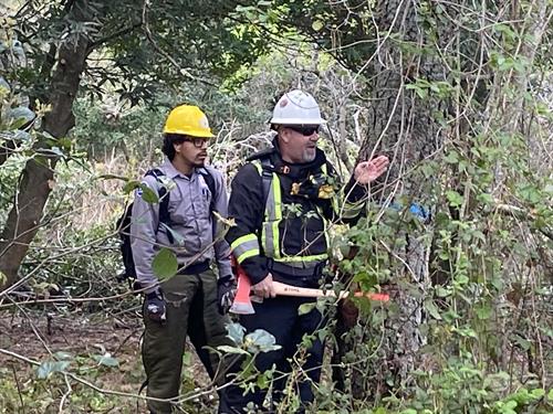 Wildfire Prevention training