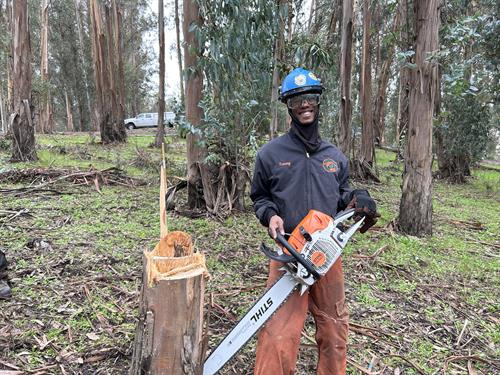 Advanced Chainsaw training