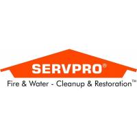 SERVPRO is March Member of the Month!