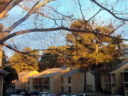 Gallery Image 1577863834696.jpg