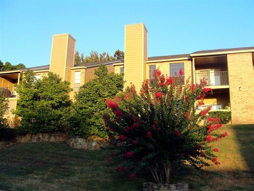 Gallery Image 316558330_562957042502977_6131715686422206496_n.jpg