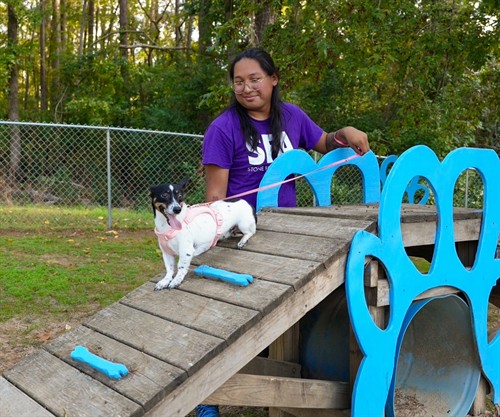 Gallery Image 411482255_858816146250397_3207016266329299338_n.jpg