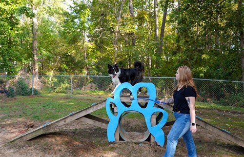 Gallery Image bark.jpg