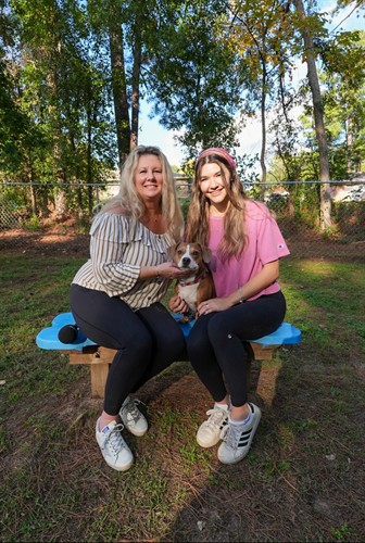 Gallery Image bark_2.jpg