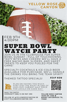 Super Bowl Watch Party