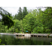 Walk & Talk - Rice Lake