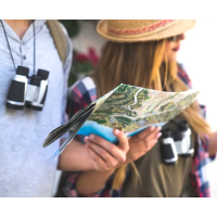 Seize the Moment: Unlocking North Shore Tourism Potential