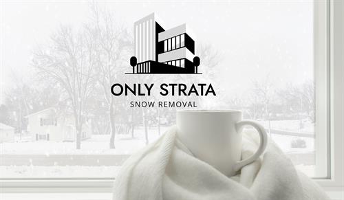 Peace of mind during storms — Only Strata keeps walkways safe