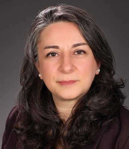 Kamelia Amirghahari,Financial Advisor