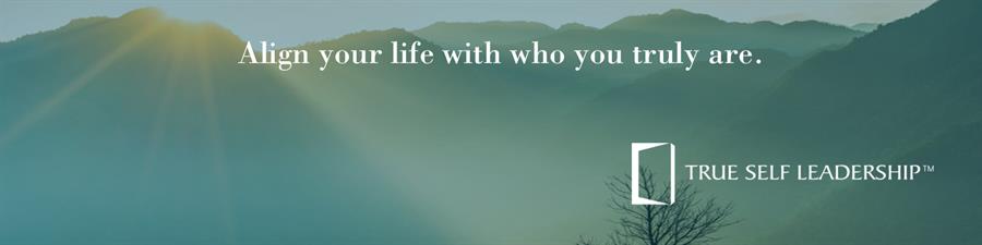 Sharlene Shah Consulting