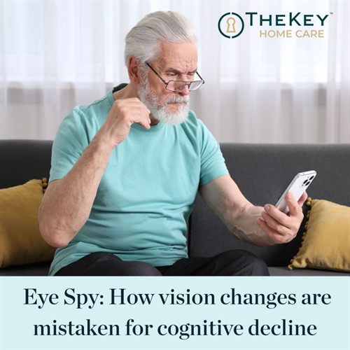 Gallery Image Eye_Spy.jpg