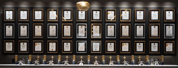 Maz Majidi Luxury Real Estate Advisor