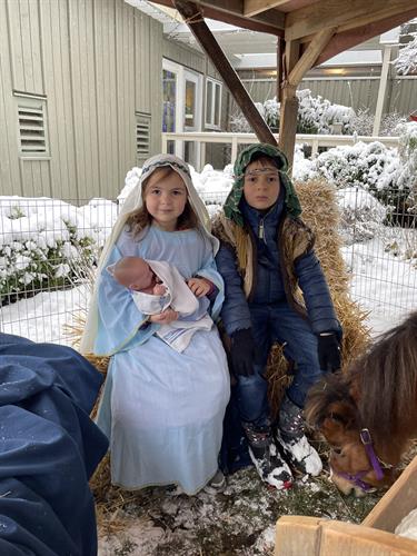 Annual Live Nativity with sheep and donkeys