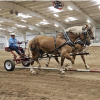 Three Trails Classic Series Draft Horse Show