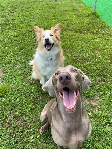 Abby and Rudy, smile!