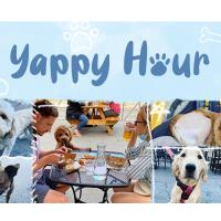 Yappy Hour at Dine Out on Sheffield