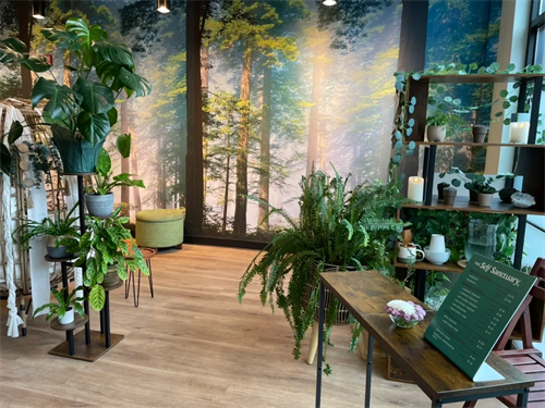 Gallery Image TSS3.png Gallery Image TSS3.png