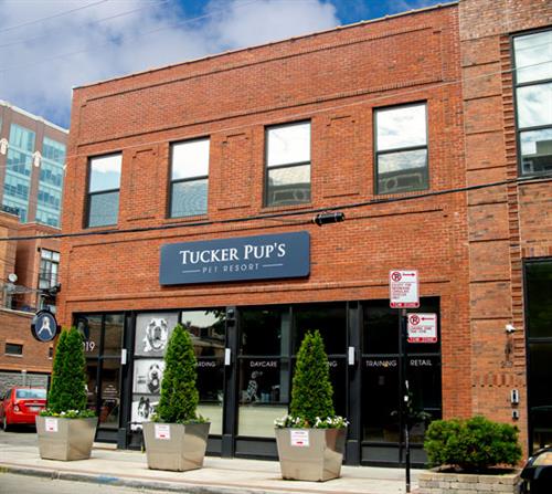 Gallery Image best-dog-boarding-in-chicago_facility.jpg