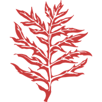 Mulch Consulting, LLC