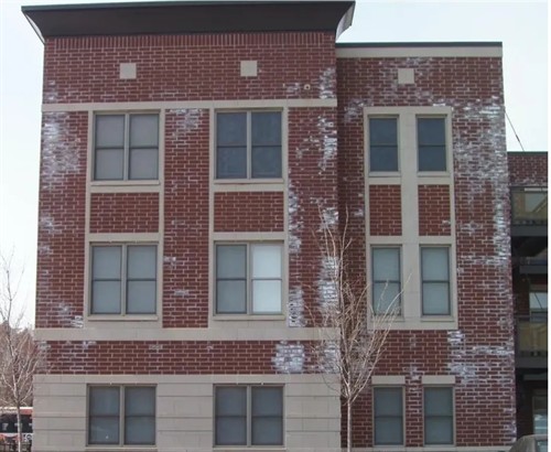 Building Envelope Consulting - Efflorescence on Brick