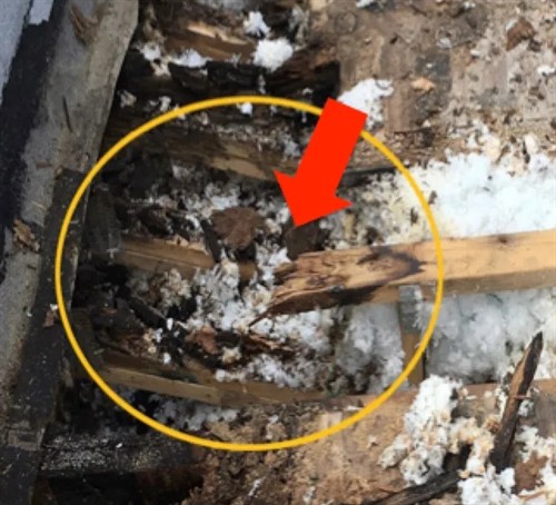 Roof Truss Failure