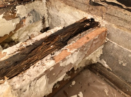 Roof Truss Damage - Rotting in Spray Foam Insulation