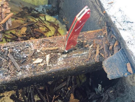 Roof Truss Damage - Rotting from moisture transfer from Masonry wall