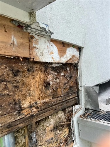 Mold Growing Under Stucco