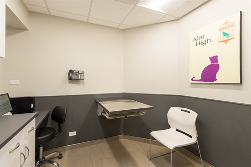 Gallery Image Blum_Exam_Room2.jpg