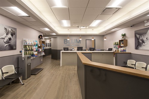 Gallery Image Blum_Front_Desk.jpg