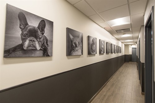 Gallery Image Blum_Hallway.jpg