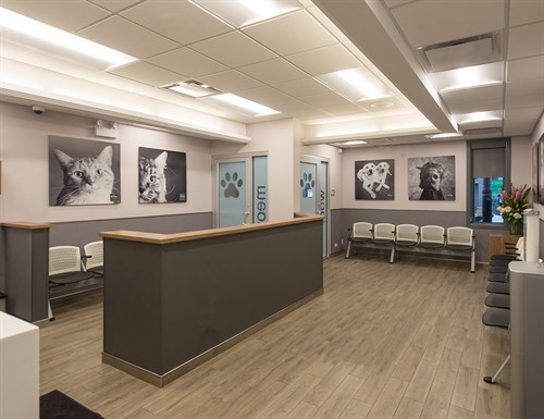 Gallery Image Blum_Lobby2.jpg