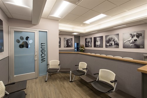 Gallery Image Blum_Lobby3.jpg