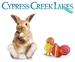 Cypress Creek Lakes Easter Fun Event
