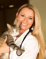 Animal ER Owner Dr Jennifer Hennessey Animal ER Owner Dr Jennifer Hennessey