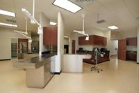 Treatment area at the Animal ER Treatment area at the Animal ER