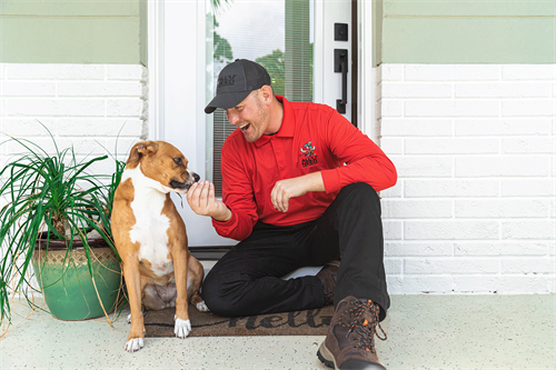Gallery Image Copy_of_2022_BrandPhotography_AllUNeedPestControl-30(2).png