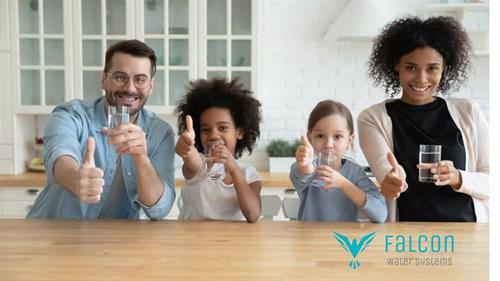 Gallery Image FB_IMG_1738980746789.jpg