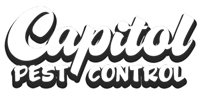 Gallery Image Capitol%20Logo.png
