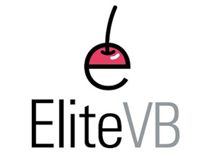 Elite-VB LLC Elite-VB LLC