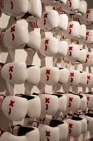 Rumble Boxing Anchorage