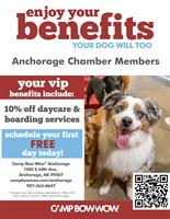 Camp Bow Wow - Anchorage