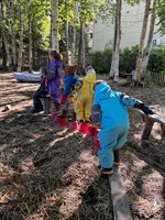 Anchorage Waldorf School