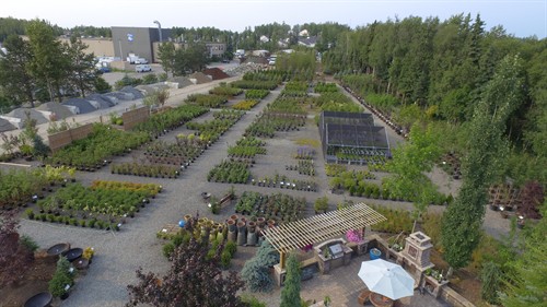 Gallery Image DJI_0065.JPG